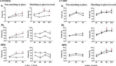 Prefrontal serotonin depletion delays reversal learning and increases theta synchronization of the infralimbic-prelimbic-orbitofrontal prefrontal cortex circuit